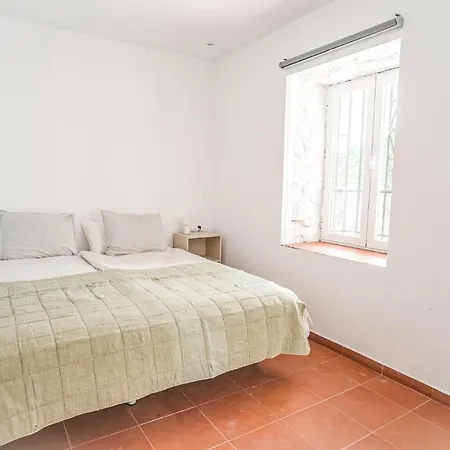 Vakantiehuis Amazing In With Kitchenette *